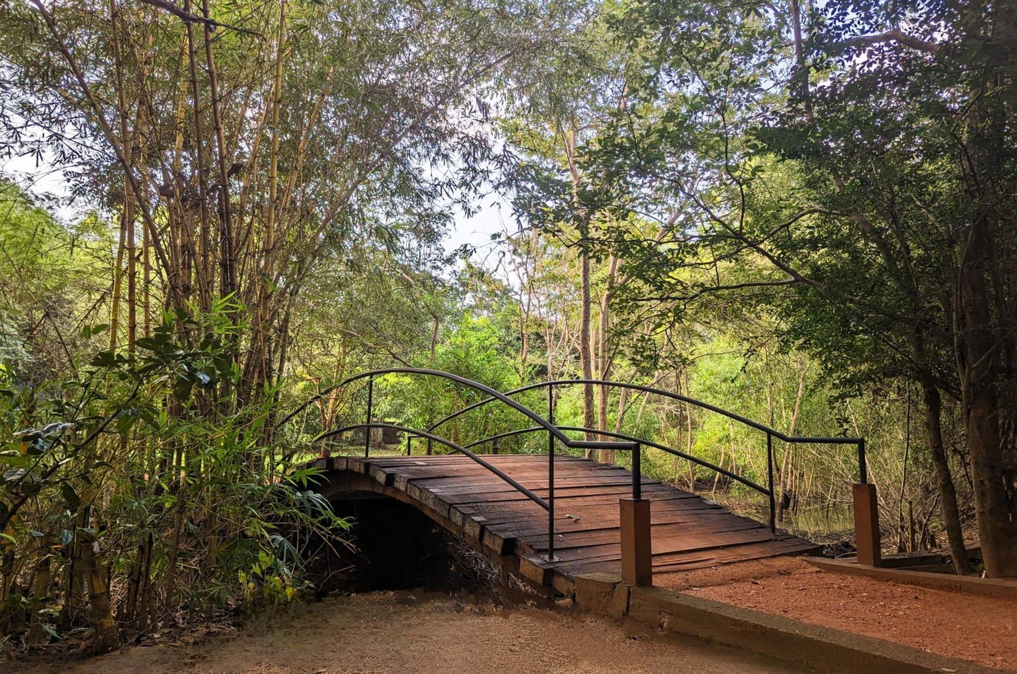 Pinthaliya Resort Sigiriya Buitenkant foto