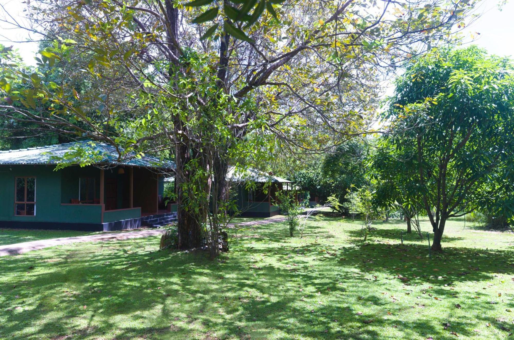 Pinthaliya Resort Sigiriya Buitenkant foto