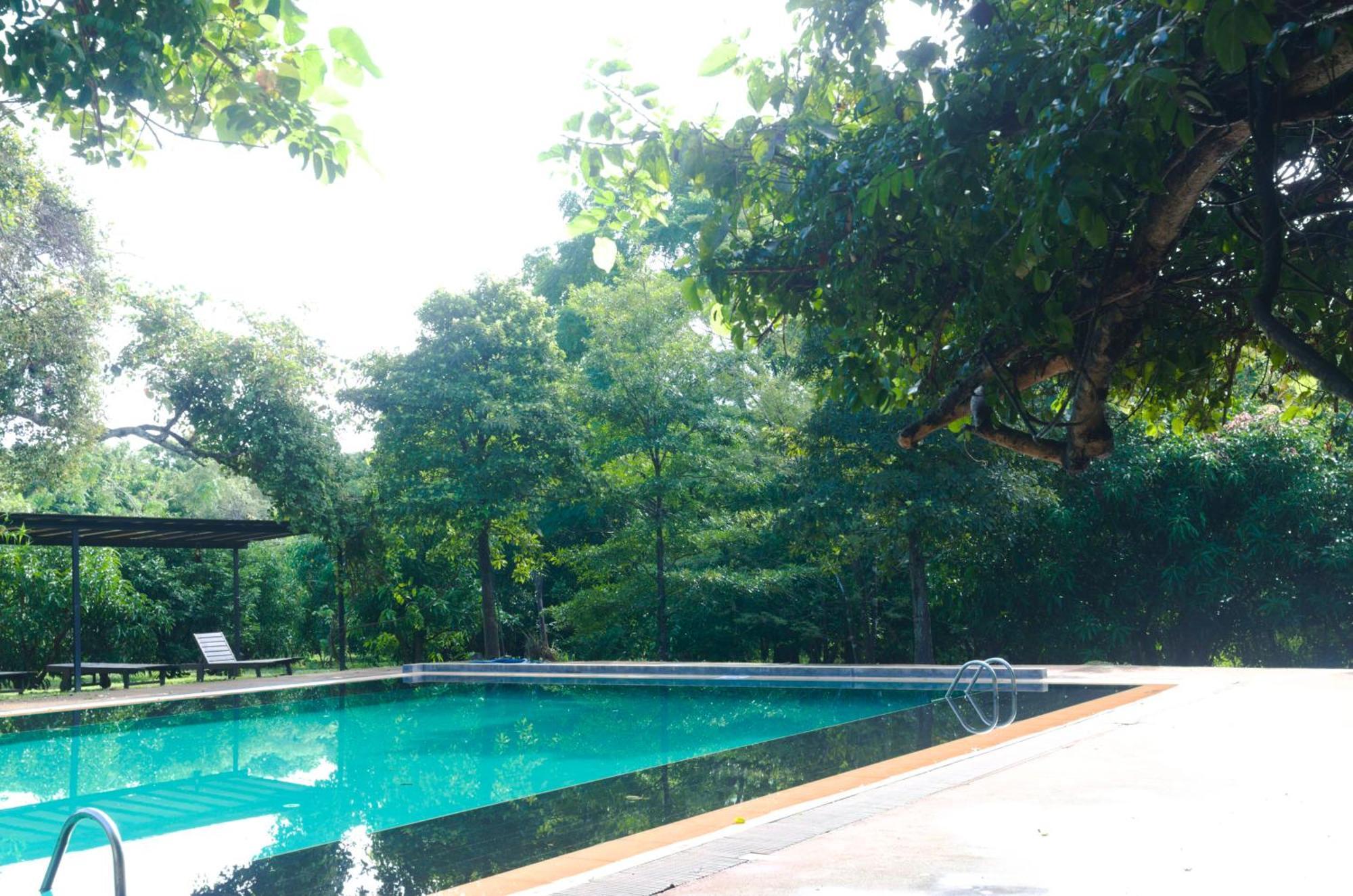 Pinthaliya Resort Sigiriya Buitenkant foto