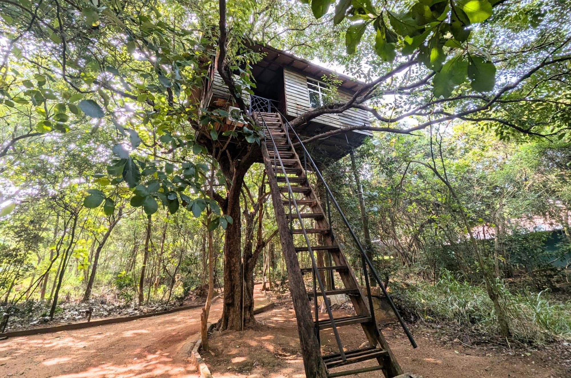 Pinthaliya Resort Sigiriya Buitenkant foto